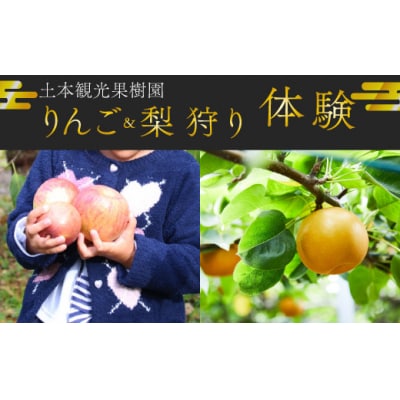 <りんご狩り梨狩り>果物収穫体験 + 生ジュース搾り体験 土本観光果樹園 お土産付