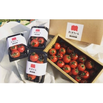 【12月～7月頃発送】高糖度ミニトマト<約1kg>秀品フルティカ (化粧箱入) ましまファーム 