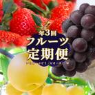 フルーツ定期便(全3回)〈いちご・ピオーネ・梨〉