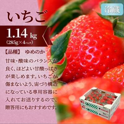 フルーツ定期便(全3回)〈いちご・ピオーネ・梨〉