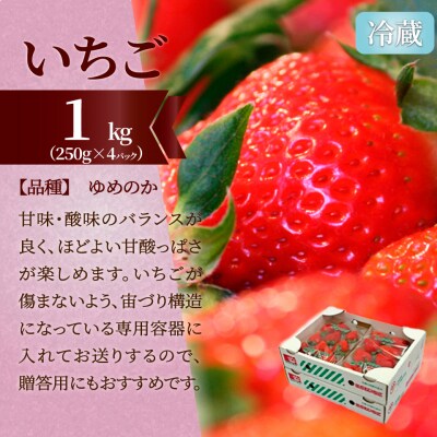 フルーツ定期便(全3回)〈いちご・ピオーネ・梨〉