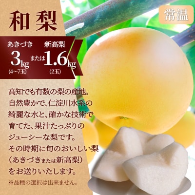 フルーツ定期便(全3回)〈いちご・ピオーネ・梨〉