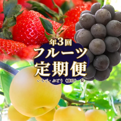 フルーツ定期便(全3回) 〈いちご・藤稔・梨〉
