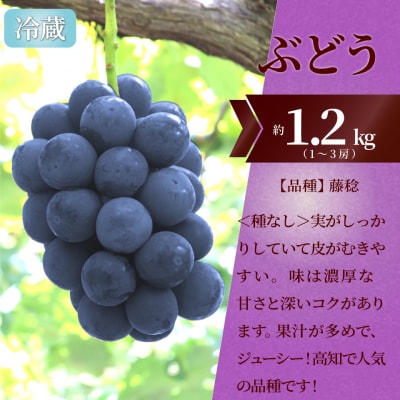 フルーツ定期便(全3回) 〈いちご・藤稔・梨〉