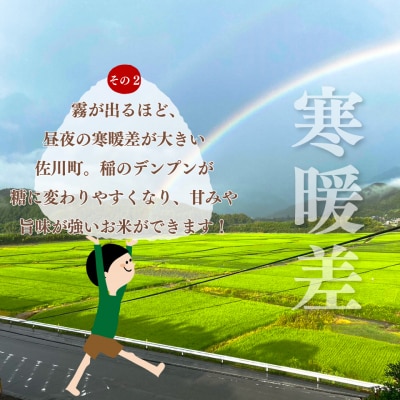 先行受付<2026年10月中旬～お届け>【ヒノヒカリ又はにこまる】新米 約5kg 高知県佐川町産
