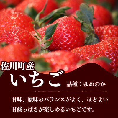 苺ゆめのか 250g×2パック【期間・数量限定】<2027年1月～3月下旬頃発送予定>