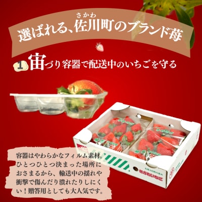 苺ゆめのか 250g×2パック【期間・数量限定】<2027年1月～3月下旬頃発送予定>