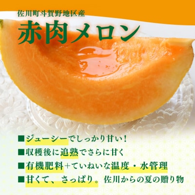<2026年7月中旬頃～8月中旬ごろ発送予定>メロン 2玉 合計約3kg サンライズメロン