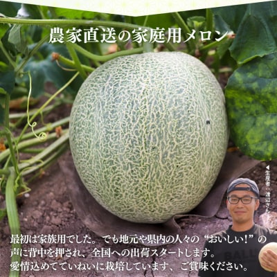 <2026年7月中旬頃～8月中旬ごろ発送予定>メロン 2玉 合計約3kg サンライズメロン