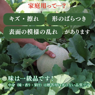 <2026年7月中旬頃～8月中旬ごろ発送予定>メロン 2玉 合計約3kg サンライズメロン
