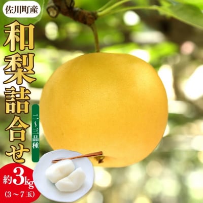 <7月下旬～10月下旬頃発送 予定>梨詰め合わせ 品種おまかせ 約3kg(3～7玉)