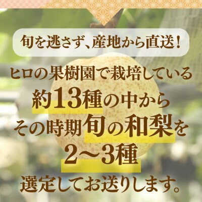 <7月下旬～10月下旬頃発送 予定>梨詰め合わせ 品種おまかせ 約3kg(3～7玉)