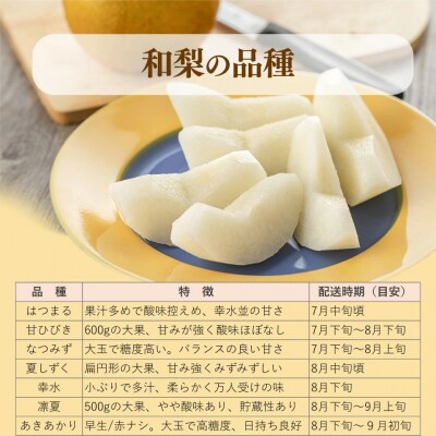 <7月下旬～10月下旬頃発送 予定>梨詰め合わせ 品種おまかせ 約3kg(3～7玉)