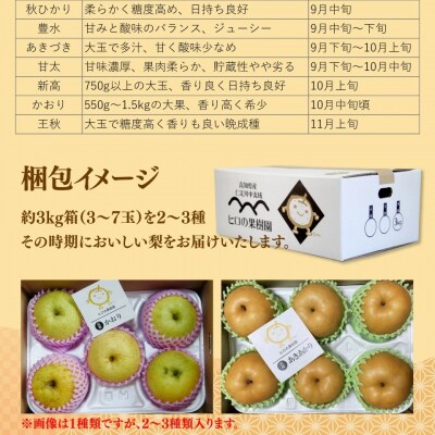 <7月下旬～10月下旬頃発送 予定>梨詰め合わせ 品種おまかせ 約3kg(3～7玉)