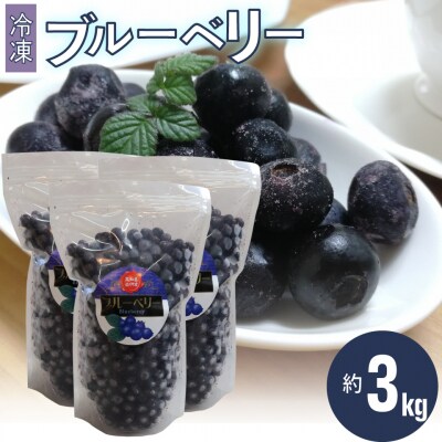 冷凍ブルーベリー計3㎏ 佐川町産<4～6ヶ月程度お待たせする事があります>