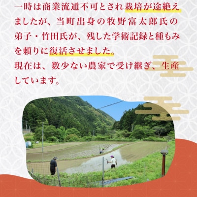 <薫る神様のお米 約3合×1袋> 奉納米 縁起米 香り米 ふさなり