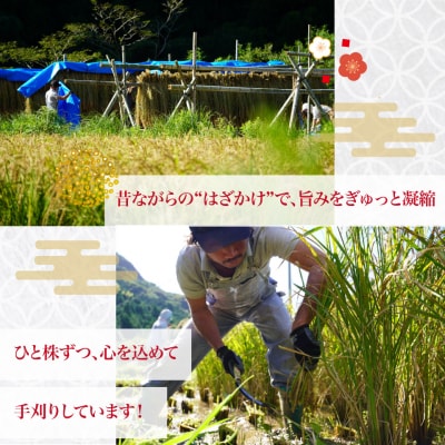 <薫る神様のお米 約3合×1袋> 奉納米 縁起米 香り米 ふさなり