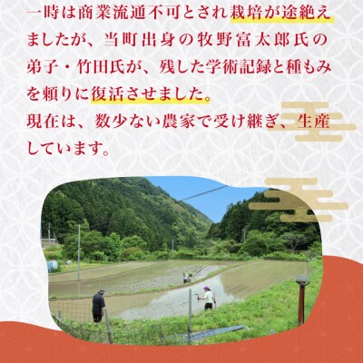 薫る神様のお米 想い札付 3合×3袋(桐箱入) 奉納米 香り米 ふさなり(毎年10月中旬以降発送)