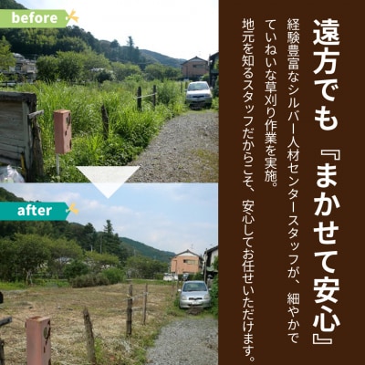 空き地(畑)の草刈り代行サービス【約10坪】佐川町の土地限定 事前にお問い合わせください
