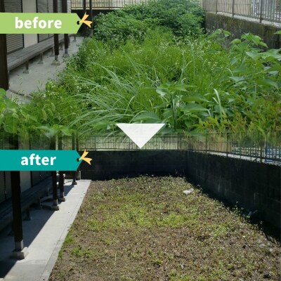 空き地(畑)の草刈り代行サービス【約10坪】佐川町の土地限定 事前にお問い合わせください