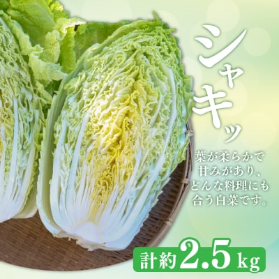<2026年12月～お届け>事前受付中 佐川町産 白菜1玉(約2.5kg) キャベツ2玉(約2kg)