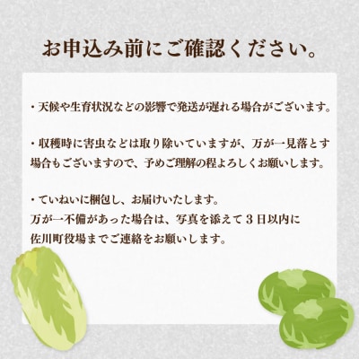 <2026年12月～お届け>事前受付中 佐川町産 白菜1玉(約2.5kg) キャベツ2玉(約2kg)