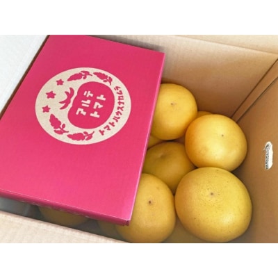 <2026年2月～3月発送>土佐文旦(約7kg)とアルテトマト(フルーツトマト約800g)セット