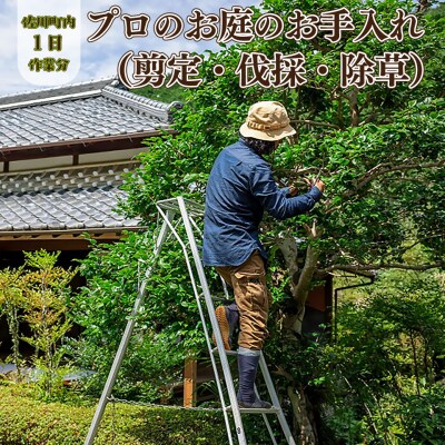 <庭のお手入れ 剪定/伐採/除草> 庭づくり 庭木 植木 作業場は佐川町限定 創樹園