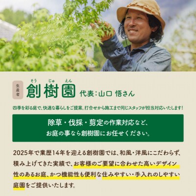 <庭のお手入れ 剪定/伐採/除草> 庭づくり 庭木 植木 作業場は佐川町限定 創樹園