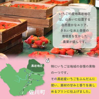 <いちごプリン 150g×6個>まきのさんの道の駅・佐川 オリジナル商品