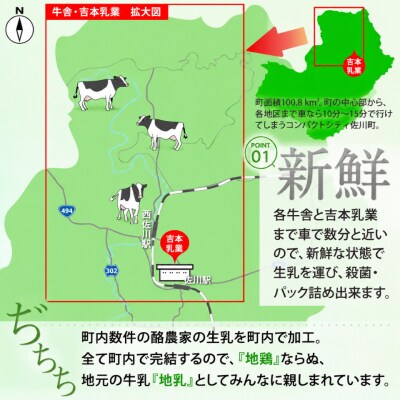 【隔週5回定期便】吉本牛乳(さかわの地乳)1L×6本×隔週5回