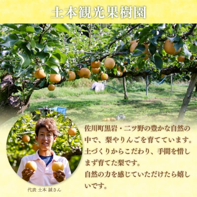 <2026年秋発送 先行受付中!>新興梨 (5kg/10～11玉) 土本観光果樹園