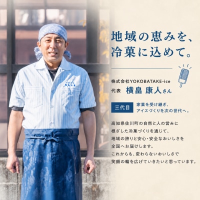 <ブラボーアイス・10本 >  チョココーティングアイス ご当地アイス 横畠冷菓