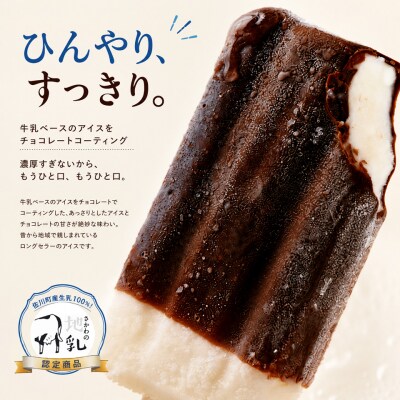 <ブラボーアイス・25本>チョココーティング ご当地アイス 横畠冷菓