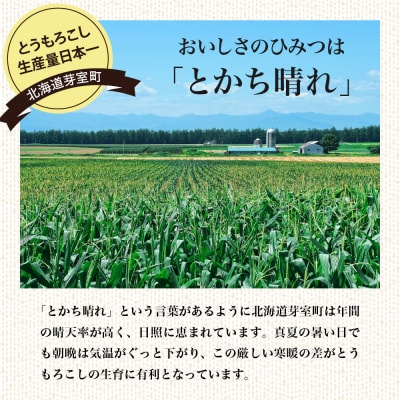 【先行受付】【2025年】 ファームミリオンの極甘スイートコーン 5kg me016-011c-25