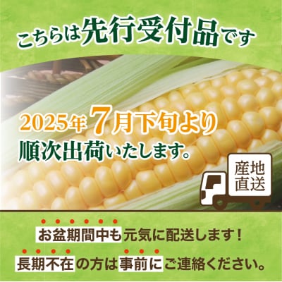 【2025年先行受付】朝採りをお届け 北海道十勝芽室町　蝦夷っ子とうもろこし ゴールドラッシュ 6本