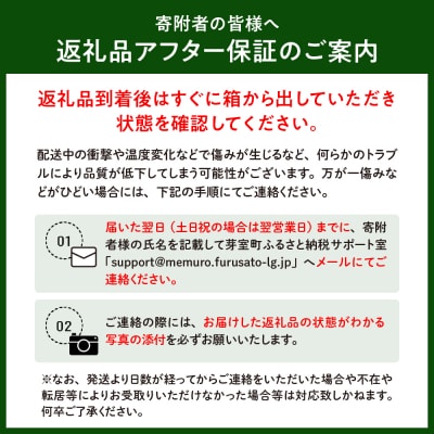 【2025年先行受付】朝採りをお届け 北海道十勝芽室町　蝦夷っ子とうもろこし ゴールドラッシュ 6本