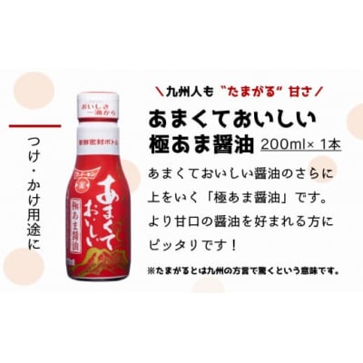 密封タイプの九州のあまい醤油(3種)&生詰あわせみそ(850g×3個)セット