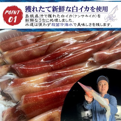 白イカ(ケンサキイカ)の一夜干し3枚セット!島根県沖で獲れた新鮮な白イカを港で開いて即干した逸品