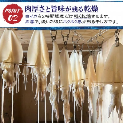 白イカ(ケンサキイカ)の一夜干し3枚セット!島根県沖で獲れた新鮮な白イカを港で開いて即干した逸品
