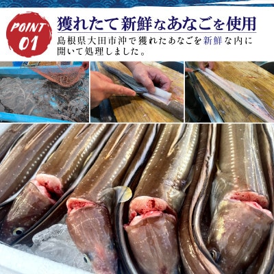 島根県沖産あなごの切り身18枚!レシピ付きで肉厚あなごを簡単調理