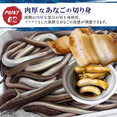 島根県沖産あなごの切り身18枚!レシピ付きで肉厚あなごを簡単調理