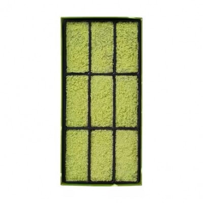 老舗和菓子屋「彩雲堂」の代表銘菓 若草9個入り