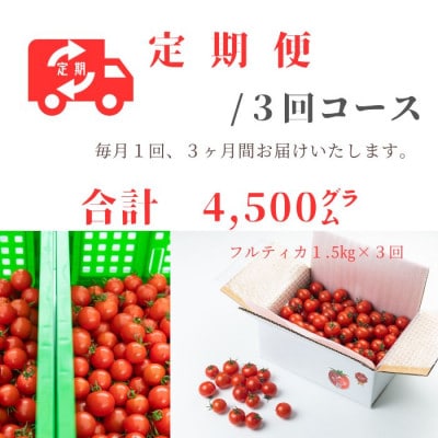 【毎月定期便】島根県産 海辺のトマトバラ 1.5kg【11～3月限定】全3回