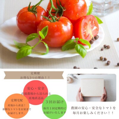 【毎月定期便】島根県産 海辺のトマトバラ 1.5kg【11～3月限定】全3回