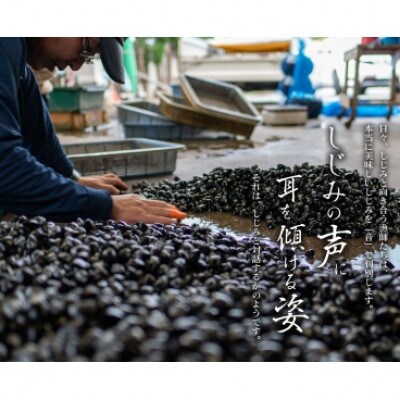 【毎月定期便】宍道湖産 冷凍大和しじみ 砂抜き済 Lサイズ 1.6kg(800g×2袋)全6回
