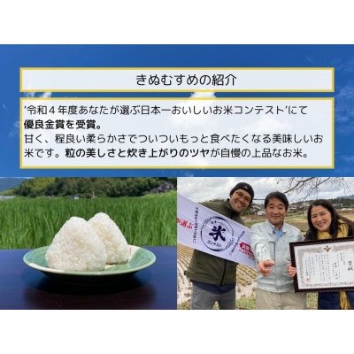 優良金賞受賞米　きぬむすめ　5kg【無洗米・残留農薬不検出】