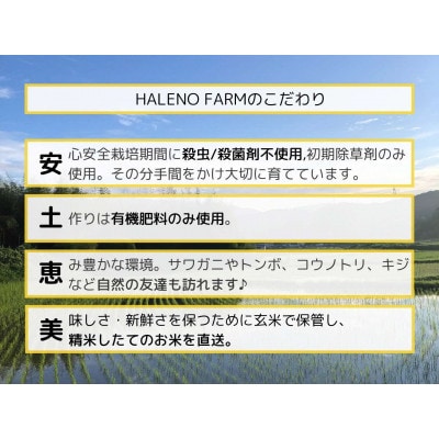 こだわり希少米 つきあかり 10kg【無洗米・残留農薬不検出】