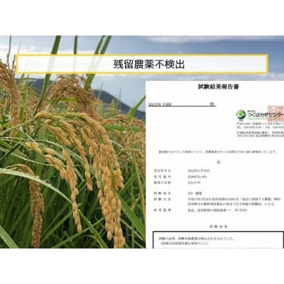 こだわり希少米 つきあかり 10kg【無洗米・残留農薬不検出】