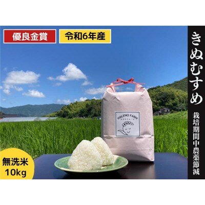 優良金賞受賞米 きぬむすめ 10kg【無洗米・残留農薬不検出】